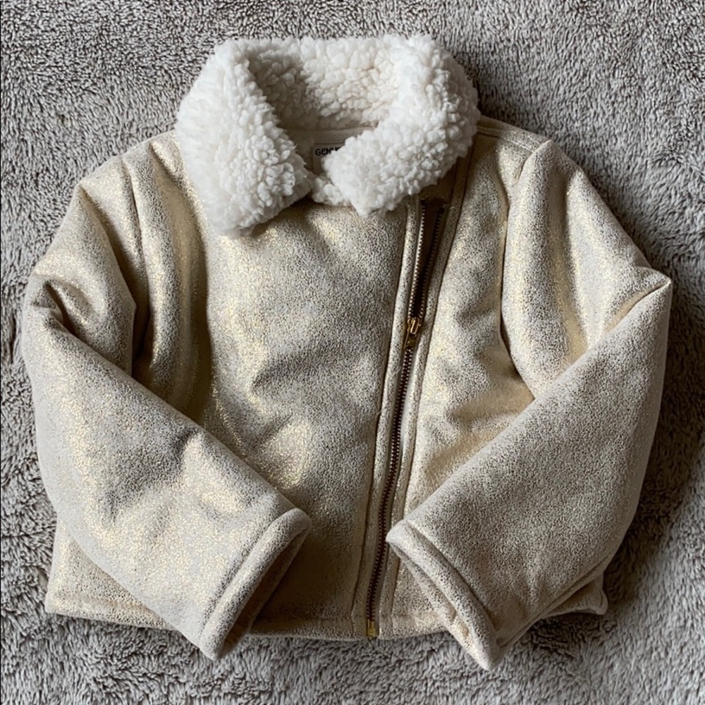 Sherpa lined metallic jacket
